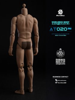 画像3: WORLD BOX 1/6 アップグレード 男性素体 AT020 Pro *お取り寄せ