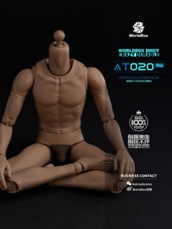 画像7: WORLD BOX 1/6 アップグレード 男性素体 AT020 Pro *お取り寄せ
