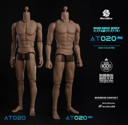 画像9: WORLD BOX 1/6 アップグレード 男性素体 AT020 Pro *お取り寄せ