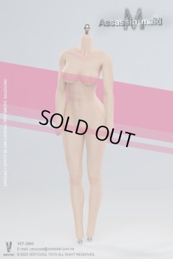 画像13: VERYCOOL 1/6 アサシン メイド ミシェル アクションフィギュア VCF-2065 *予約