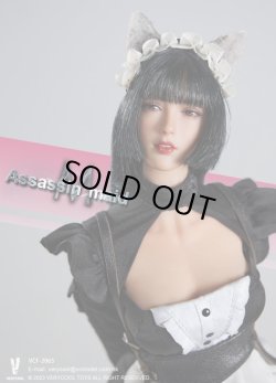 画像5: VERYCOOL 1/6 アサシン メイド ミシェル アクションフィギュア VCF-2065 *予約