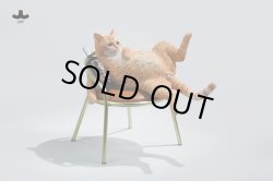 画像10: JXK Studio 1/6 ドランク キャット - 椅子 酒瓶 付き 4種 JXK203 *お取り寄せ