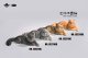 JXK Studio メインクーン 猫 ネコ ミニ フィギュア 4種 JS2310 *お取り寄せ
