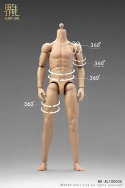 画像2: Alert Line 1/6 男性用素体 メイル ボディ 2種 アクションフィギュア用 AL100045 / AL100046 *予約