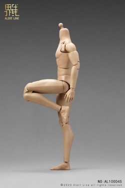 画像10: Alert Line 1/6 男性用素体 メイル ボディ 2種 アクションフィギュア用 AL100045 / AL100046 *予約