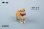 画像19: JxK Studio 1/12 SMALL フロッキング 柴犬 JS2401 *予約