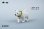 画像24: JxK Studio 1/12 SMALL フロッキング 柴犬 JS2401 *予約