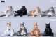JXK Studio 1/6 ぐーたら猫 フィギュア JXK235 JXK236 *お取り寄せ