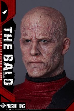 画像1: PRESENT TOYS 1/6 The Bald 男性 ヘッド PT-sp88 *予約