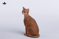 画像11: JXK Studio 1/6 アビシニアン 2種 JXK248 *お取り寄せ