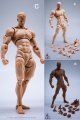 Wind Toys 1/12 超可動 男性 素体 スーパーアクション メイル ボディ フィギュア 3種 WT001 *予約