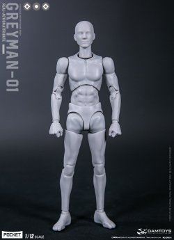 画像1: DAMTOYS 1/12 グレーマン GREYMAN 男性 素体 ボディ アクションフィギュア DPS11 *予約