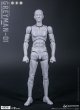 DAMTOYS 1/12 グレーマン GREYMAN 男性 素体 ボディ アクションフィギュア DPS11 *予約