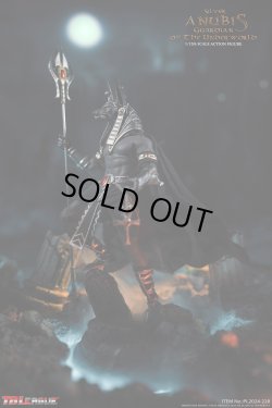 画像14: TBLeague 1/12 アヌビス ゴッド・オブ・ザ・アンダーワールド シルバー アクションフィギュア PL2024-228 *予約