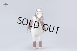 画像13: JXK Studio 1/6 シェットランドポニー バングスリトルポニー 5種 JXK270 *予約