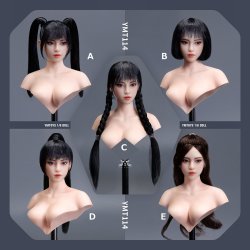 画像1: YMTOYS 1/6 セクシー ビューティー ヘッド 眼球可動 5種 YMT114 *予約