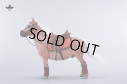 画像18: JXK Studio 1/6 シェットランドポニー バングスリトルポニー 5種 JXK270 *予約