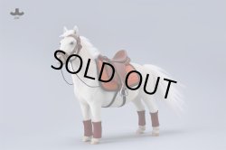 画像11: JXK Studio 1/6 シェットランドポニー バングスリトルポニー 5種 JXK270 *予約