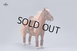 画像3: JXK Studio 1/6 シェットランドポニー バングスリトルポニー 5種 JXK270 *予約