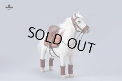 画像12: JXK Studio 1/6 シェットランドポニー バングスリトルポニー 5種 JXK270 *予約