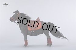 画像9: JXK Studio 1/6 シェットランドポニー バングスリトルポニー 5種 JXK270 *予約