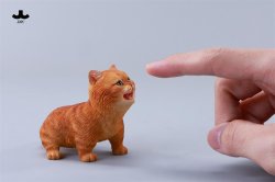 画像1: JXK 1/6 子猫 3種 JXK277 *予約 