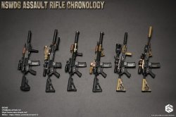 画像1: Easy & Simple 1/6 NSWDG アサルトライフル Assault Rifle Chronology (A-F) *予約