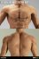 画像4: Infinite Statue × Kaustic Plastik 1/6 アルティメット 男性素体 マッスルボディ シリコーン素材 *予約 (4)