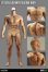 画像5: Infinite Statue × Kaustic Plastik 1/6 アルティメット 男性素体 マッスルボディ シリコーン素材 *予約 (5)