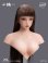 画像15: YMTOYS 1/6 セクシー ビューティー 女性ヘッド 眼球可動 5種 YMT116 *予約 