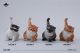JxK Studio スーパーキャット 4種 JXK286 *予約