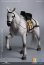 画像10: 【特典】101TOYS × PP STUDIO 1/6 中世チュートン騎士団 3体フルセット アクションフィギュア MA001D *予約