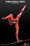 画像6: Human Muscle Model 1/12 スーパー ムーバブル マッスル マン アクションフィギュア 2種 HMM01R HMM01G *予約