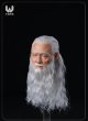 W TOYS 1/6 ソード マスター リアルヘア 髭 ヘッド アクションフィギュア用 WT-005 *予約