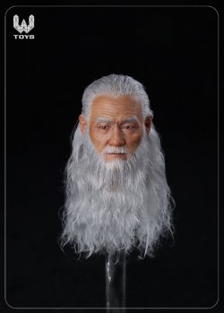 画像2: W TOYS 1/6 ソード マスター リアルヘア 髭 ヘッド アクションフィギュア用 WT-005 *予約