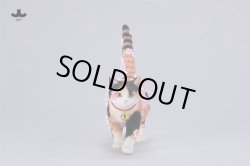 画像3: JxK Studio チェリーブロッサム キャット 4種 JXK299 *予約