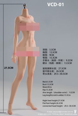 画像16: VERYCOOL 1/6 フィメール シームレス素体 アクションフィギュア用ボディ CD-01フットパーツ着脱 / VCD-02フット一体型 6種 *予約