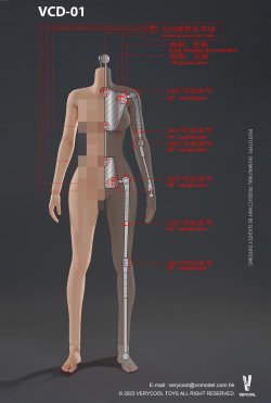 画像15: VERYCOOL 1/6 フィメール シームレス素体 アクションフィギュア用ボディ CD-01フットパーツ着脱 / VCD-02フット一体型 6種 *予約