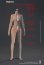 画像15: VERYCOOL 1/6 フィメール シームレス素体 アクションフィギュア用ボディ CD-01フットパーツ着脱 / VCD-02フット一体型 6種 *予約 (15)