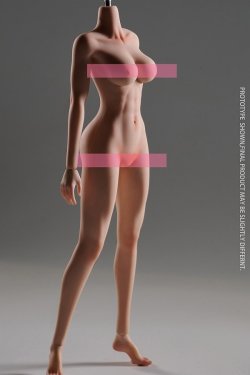 画像2: VERYCOOL 1/6 フィメール シームレス素体 アクションフィギュア用ボディ CD-01フットパーツ着脱 / VCD-02フット一体型 6種 *予約