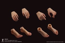 画像22: VERYCOOL 1/6 フィメール シームレス素体 アクションフィギュア用ボディ CD-01フットパーツ着脱 / VCD-02フット一体型 6種 *予約