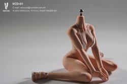 画像17: VERYCOOL 1/6 フィメール シームレス素体 アクションフィギュア用ボディ CD-01フットパーツ着脱 / VCD-02フット一体型 6種 *予約