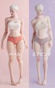 WORLD BOX 1/6 女性素体 AT202pro アップグレード版 フィギュア 2種 *予約　