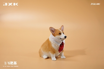 JxK Studio JXK140 1/6 ぽっちゃりコーギー犬 ウェルシュ・コーギー