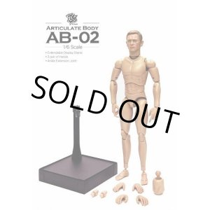 画像: ZCWO　1/6 白人男性素体 AB-02 Nomal Size Male Body  ［限定300体］　*お取り寄せ