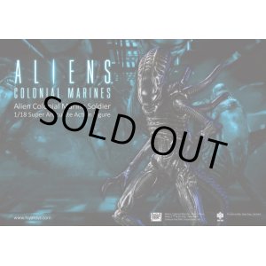 画像: Hiya Toys　1/18　エイリアン　ソルジャー　Alien Colonial Marine figure - Soldier　*お取り寄せ