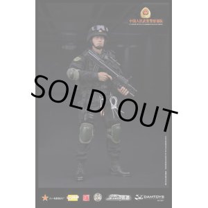 画像: DAMTOYS　1/6　Chinese People's Armed Police Force Anti-Terrorism Force　フィギュア　*予約