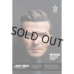 画像: ACE Toys　“Mr.David”　ヘッド　1/6　*お取り寄せ