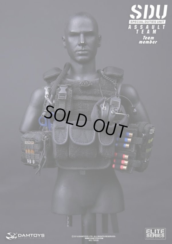 DAMTOYS 1/6 SDU Special Duties Unit ASSAULT TEAM MEMBER
