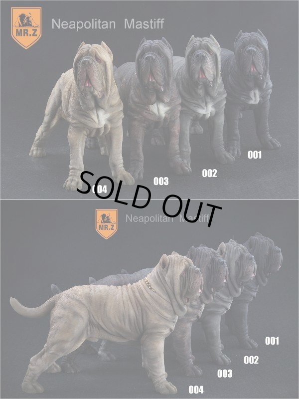 Mr.Z　1/6 ナポリタン・マスティス 動物 置物 フィギュア 001 Mr.Z 1/6 ナポリタン・マスティス 動物 置物 フィギュア 001